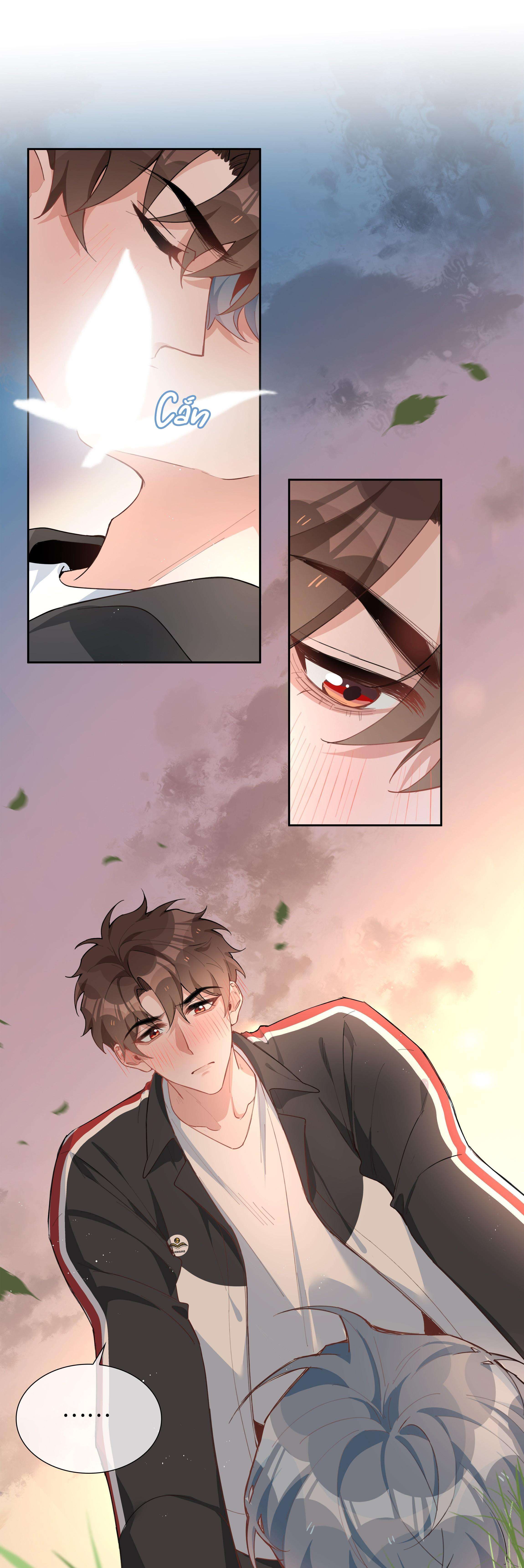 page_5