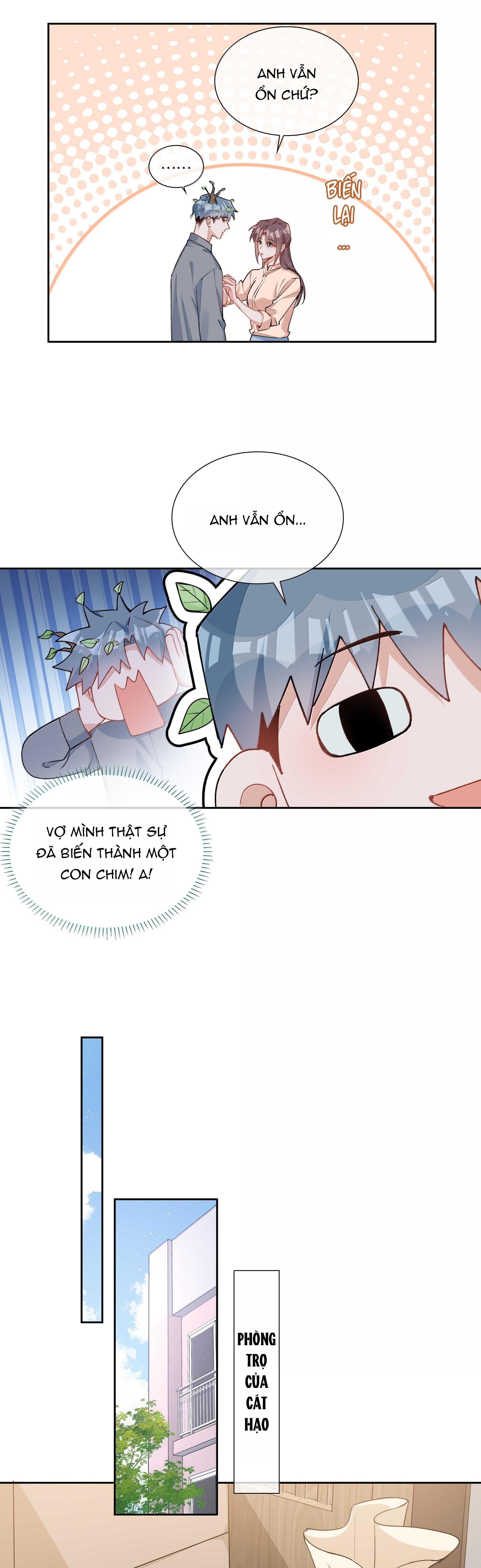 page_16