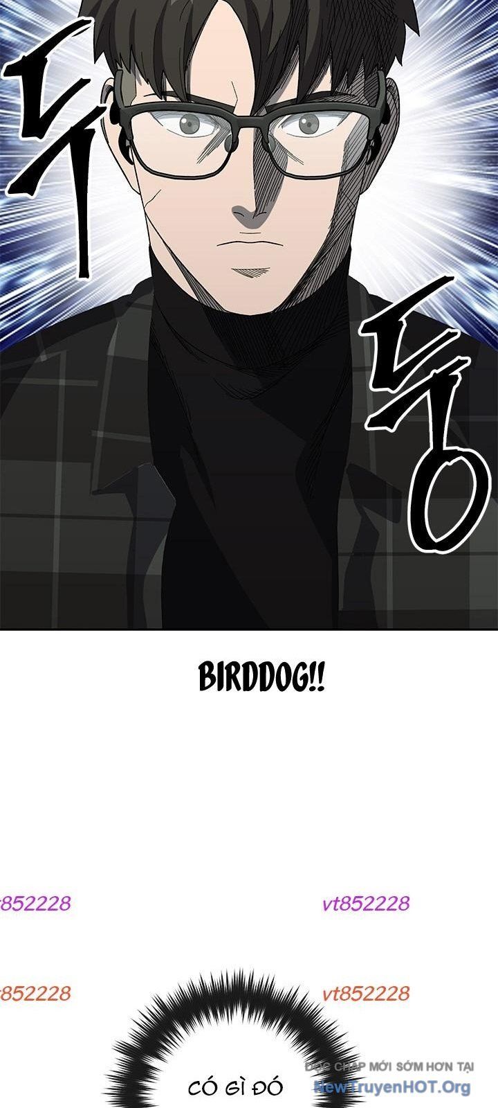 page_52