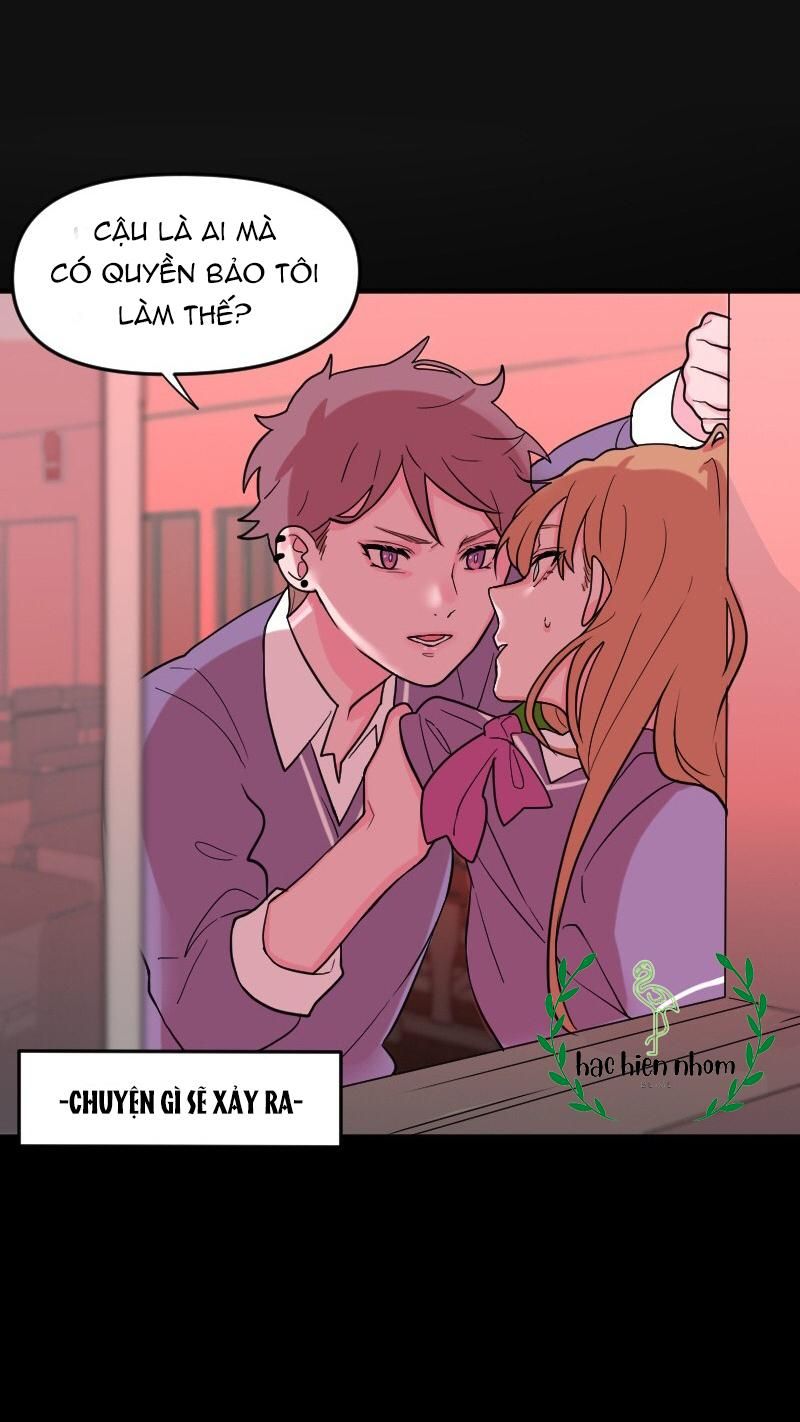 page_41