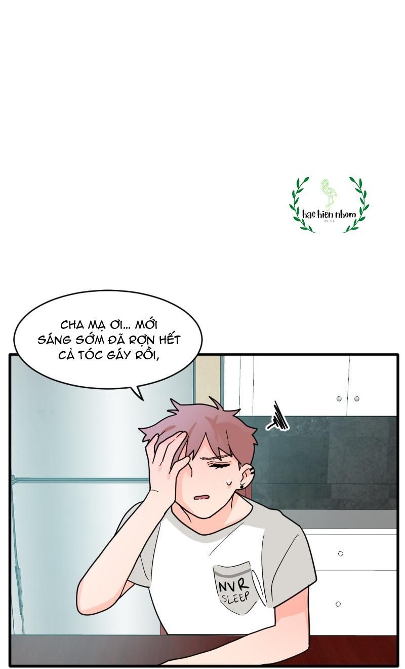 page_51