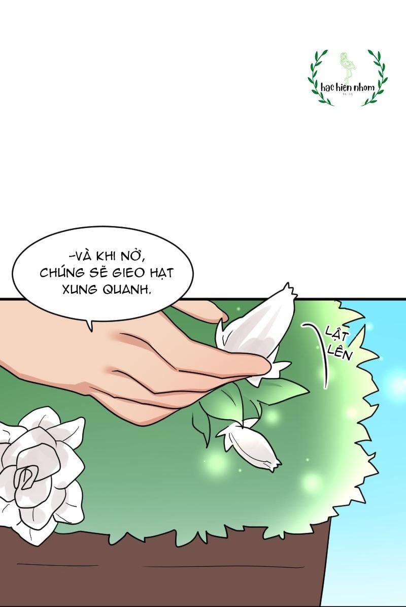 page_96