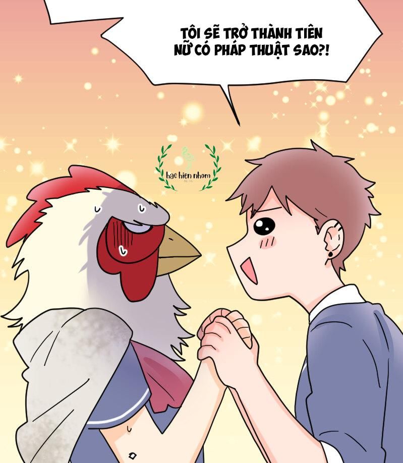 page_73