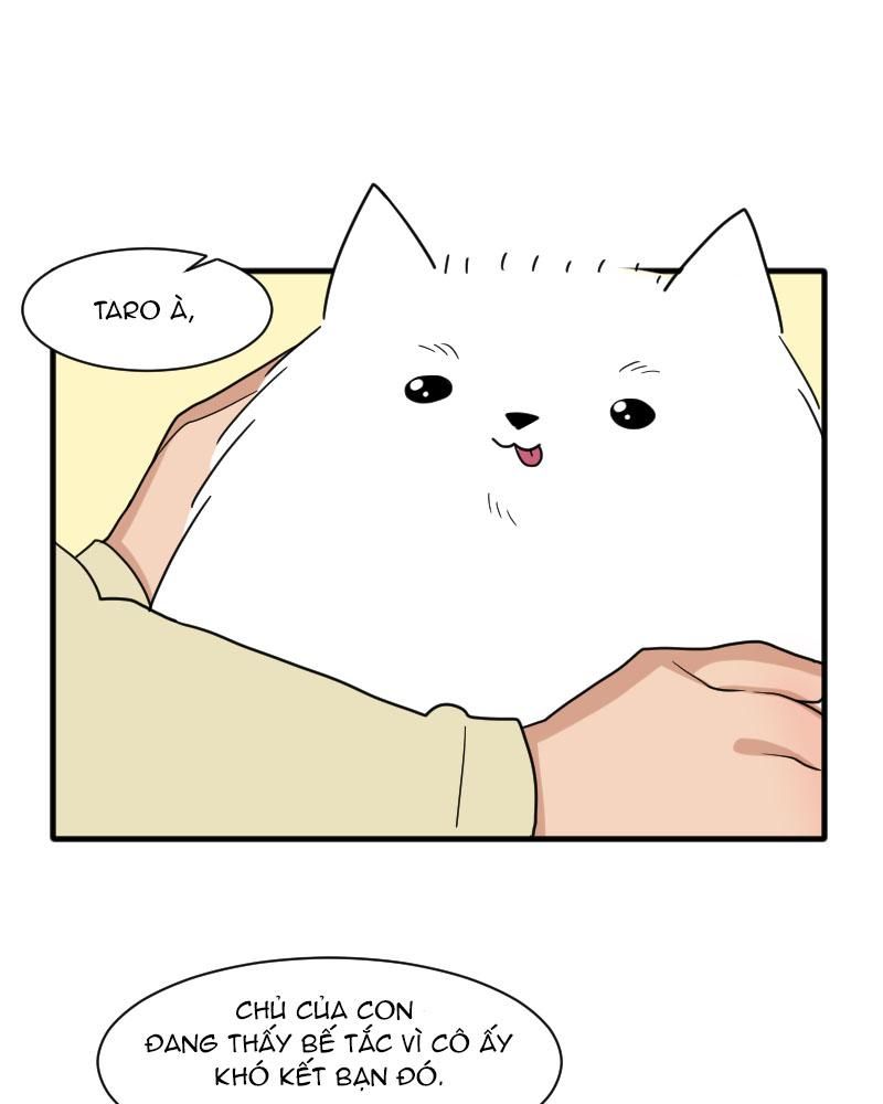 page_19