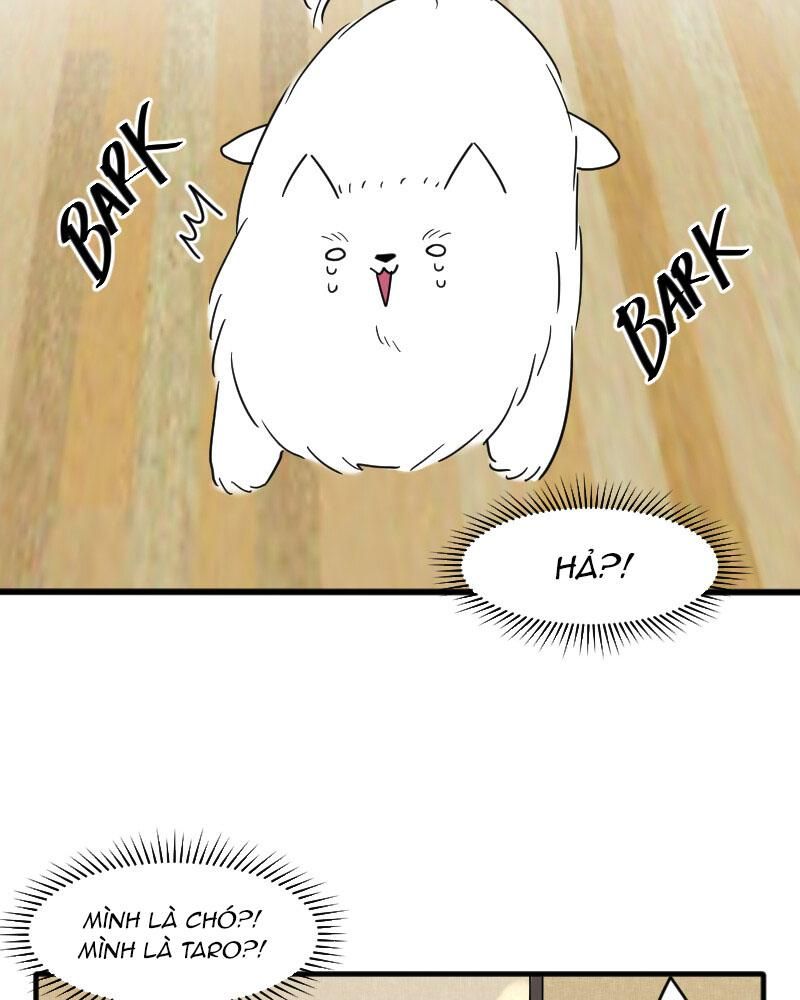 page_36