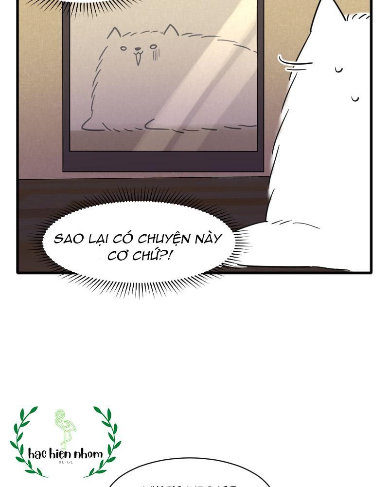 page_37