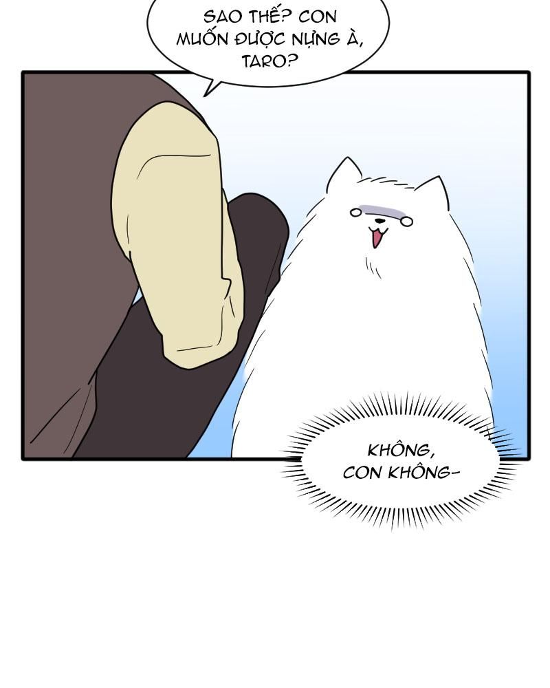 page_38