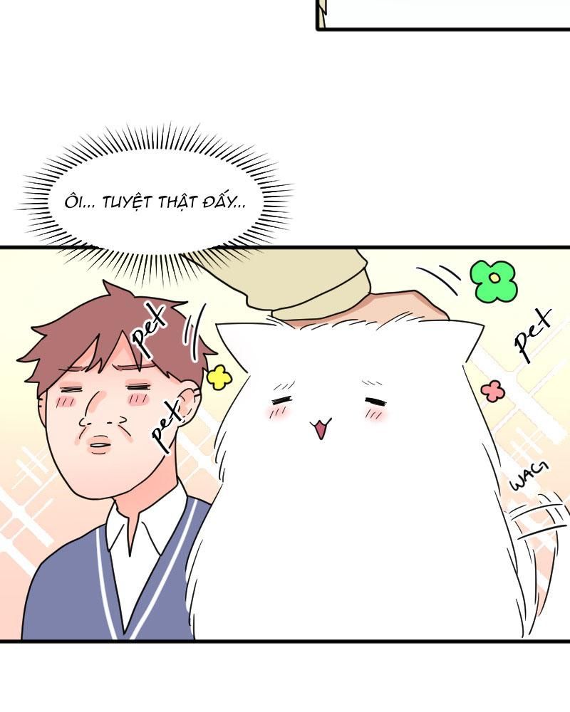 page_40