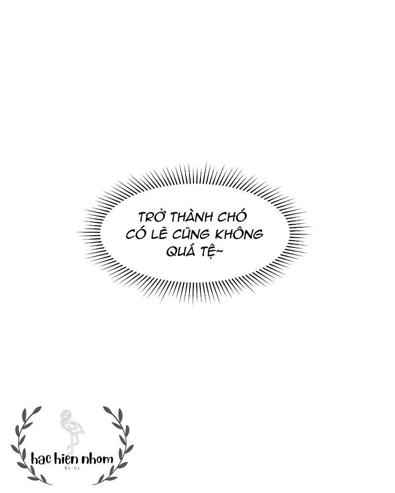 page_41