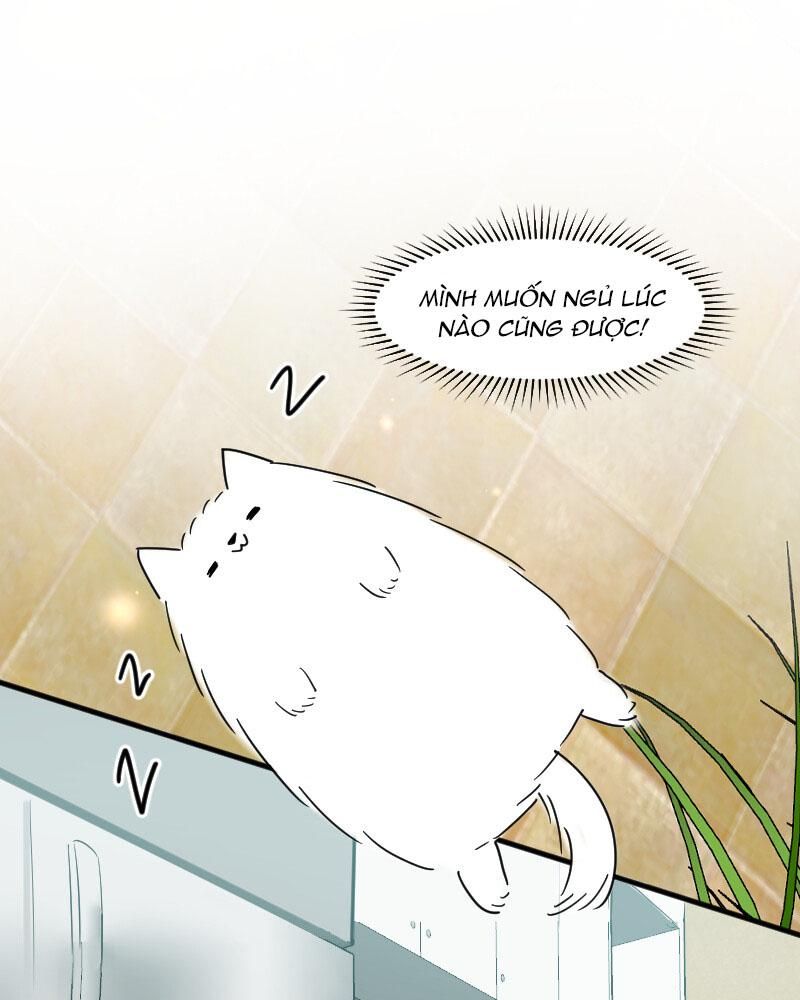 page_42
