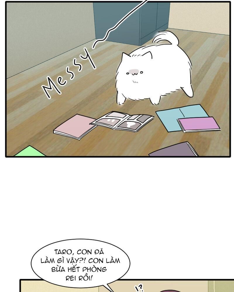 page_51