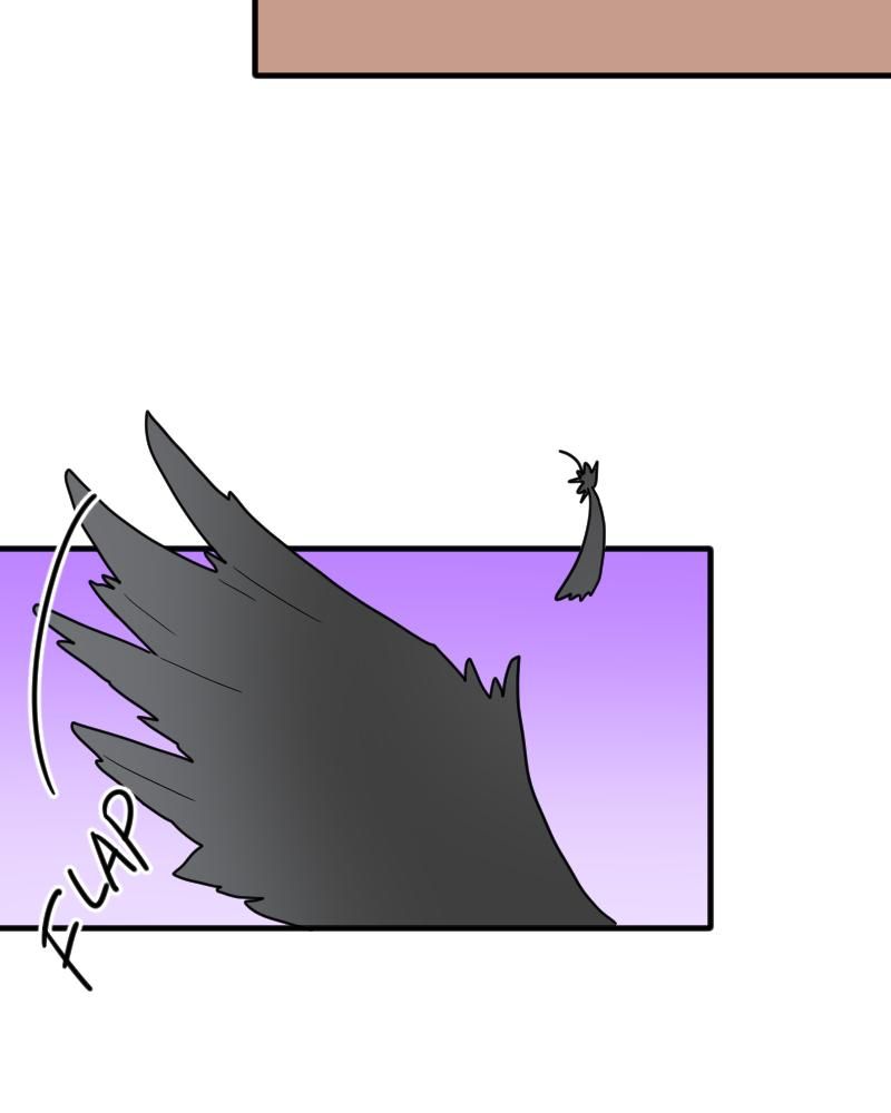 page_62