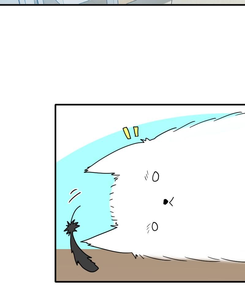 page_65