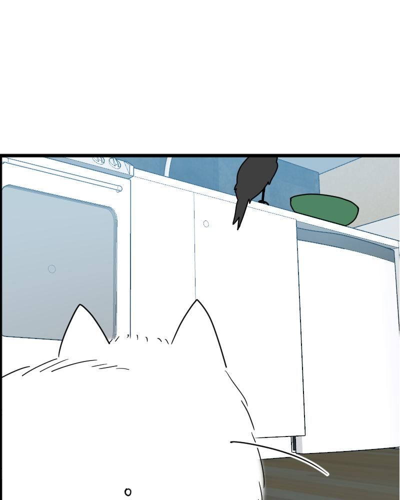 page_66