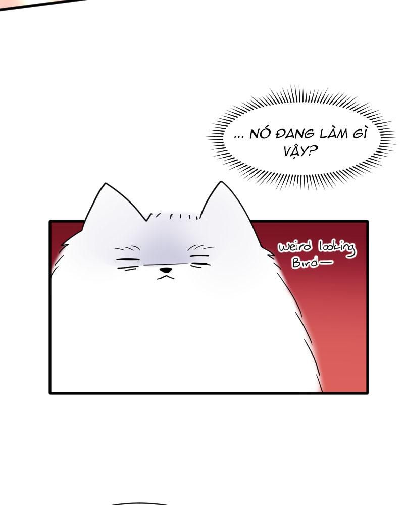 page_70