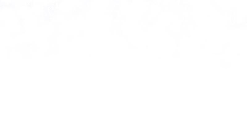 page_91