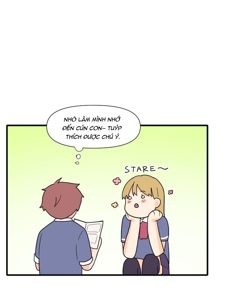 page_29