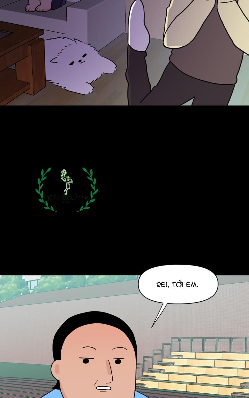 page_17