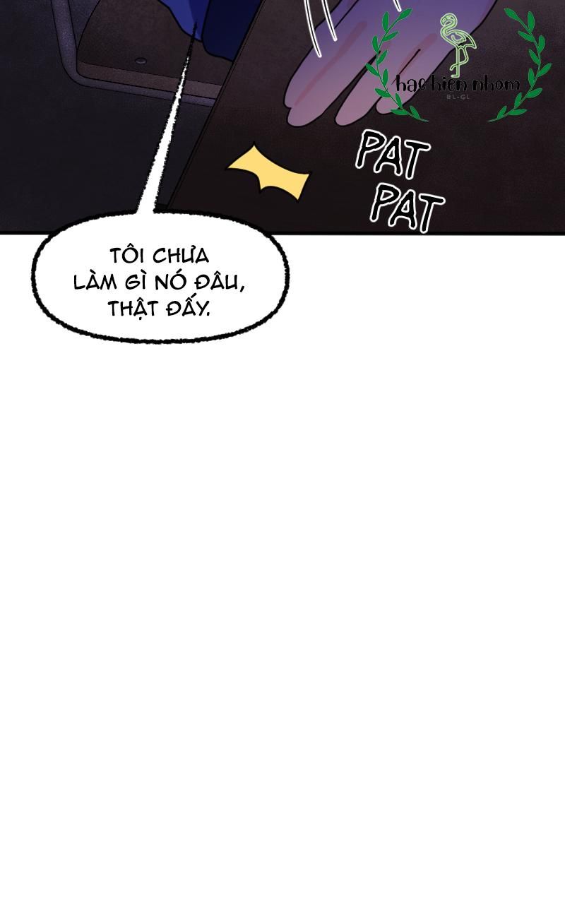 page_39