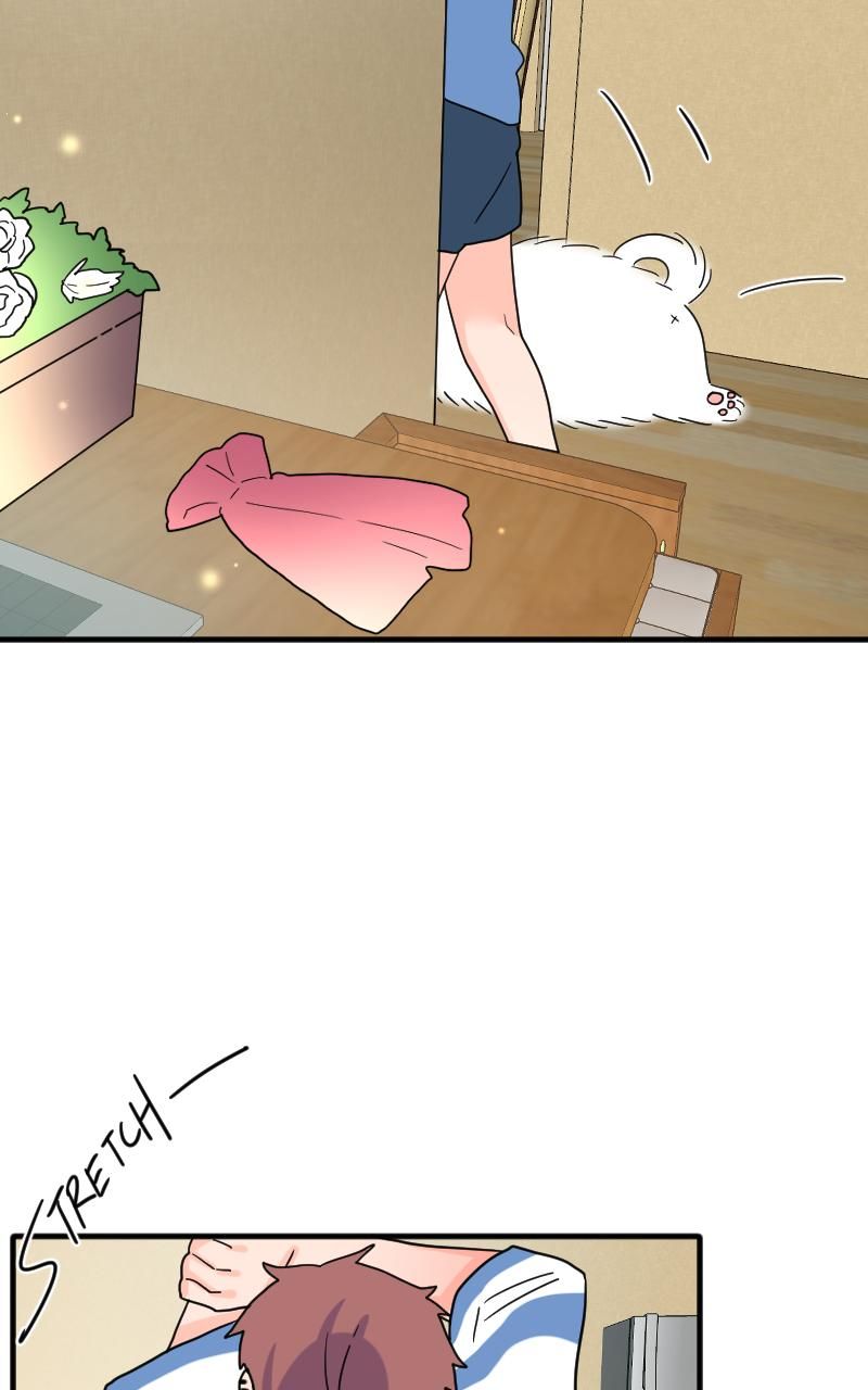 page_5