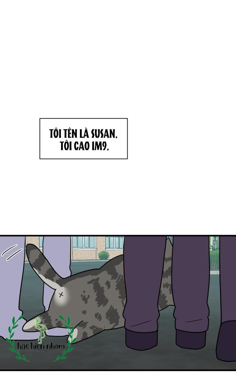 page_24