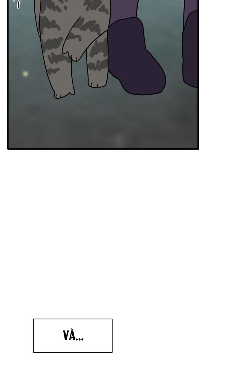 page_26