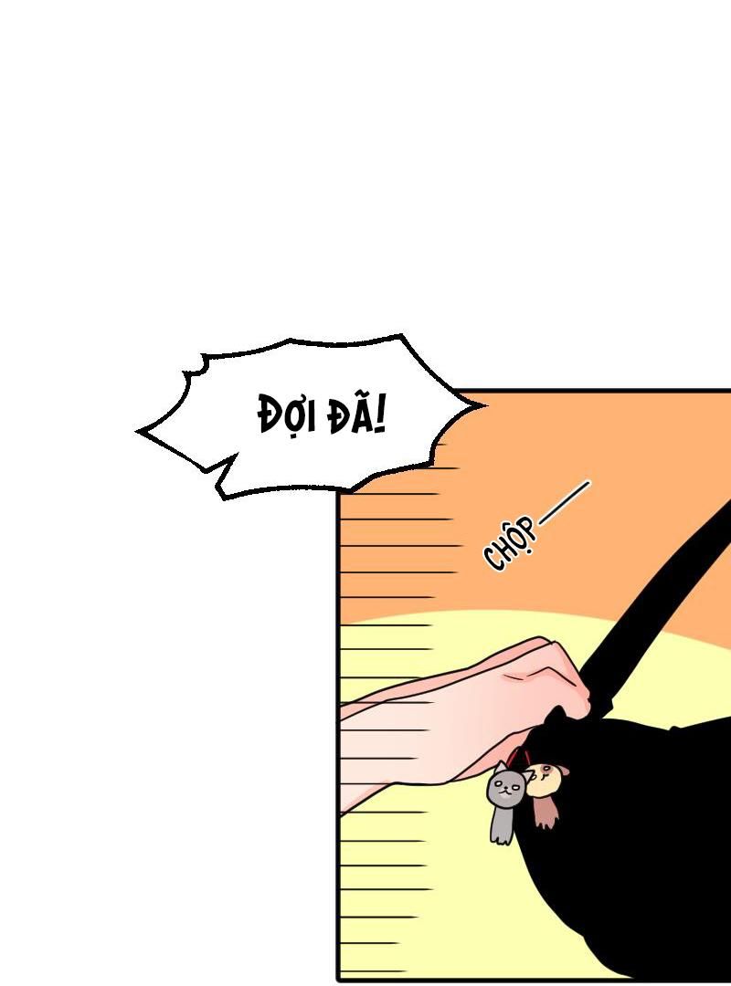 page_17
