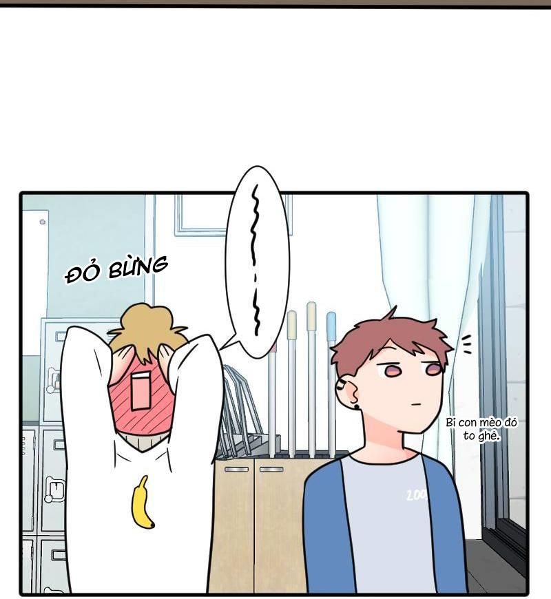 page_62