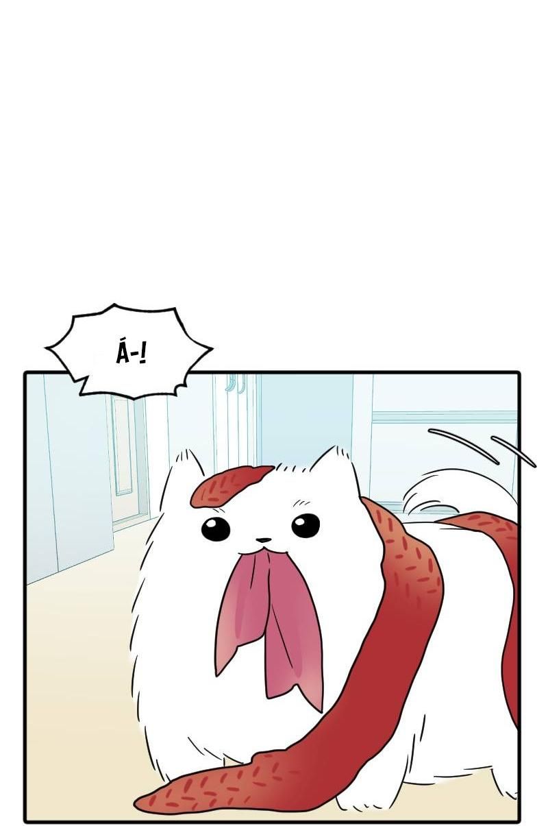 page_97