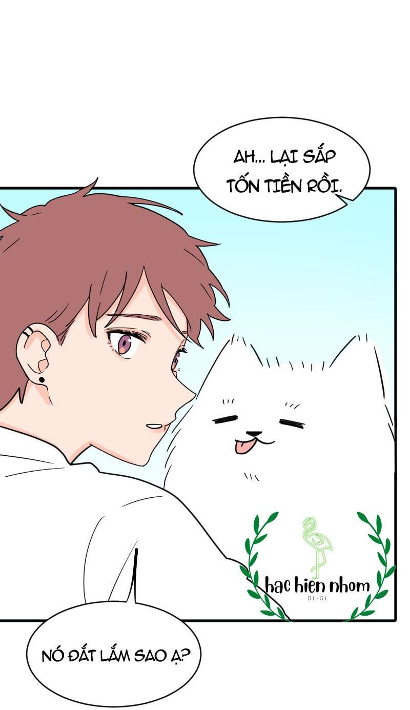 page_85