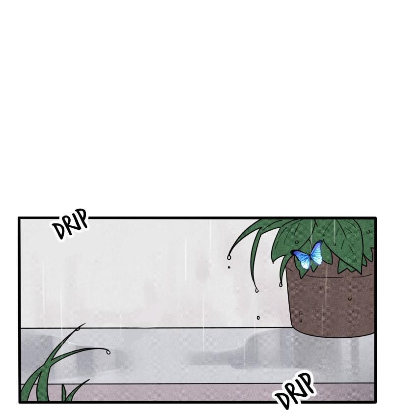 page_31