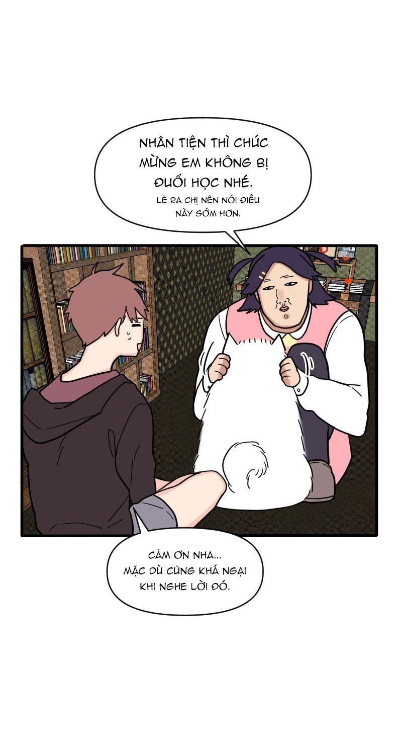 page_19