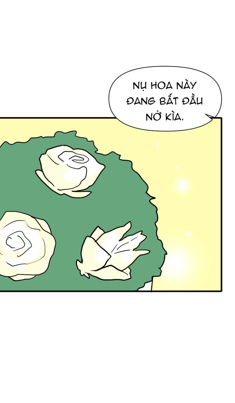 page_102