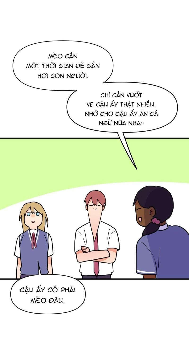 page_46