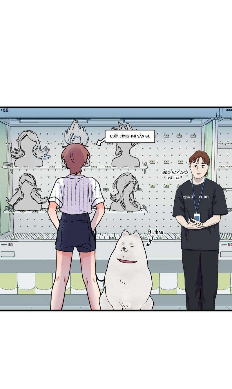 page_68