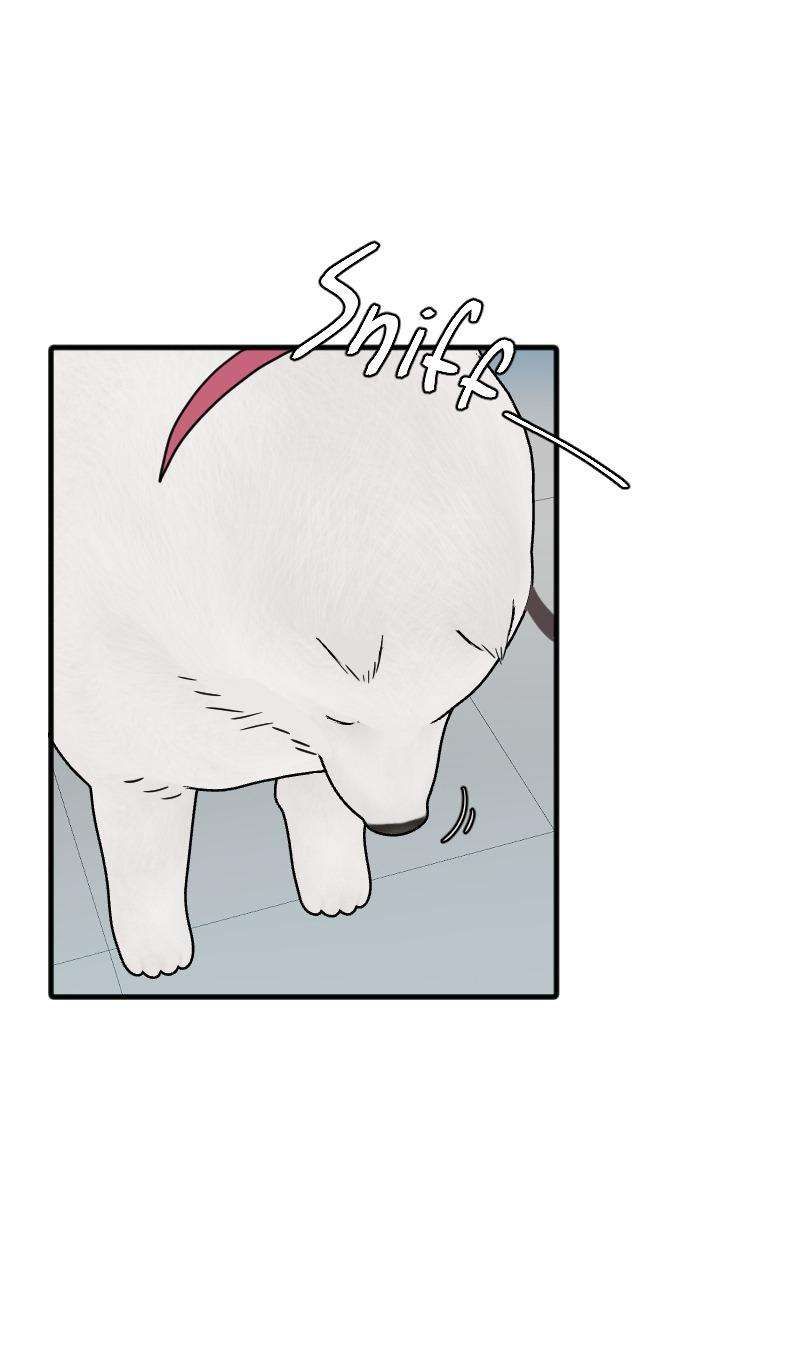 page_74