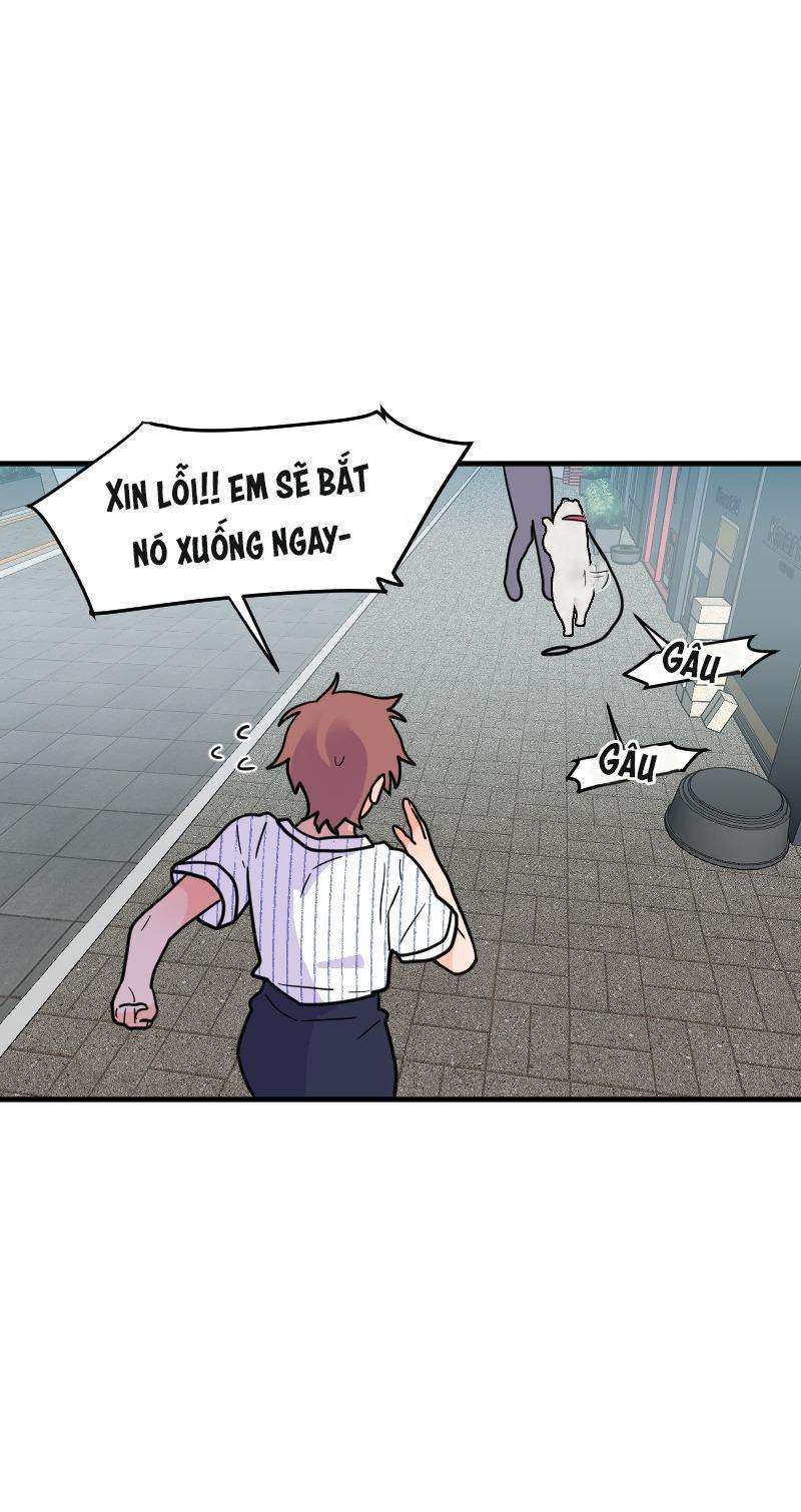 page_81