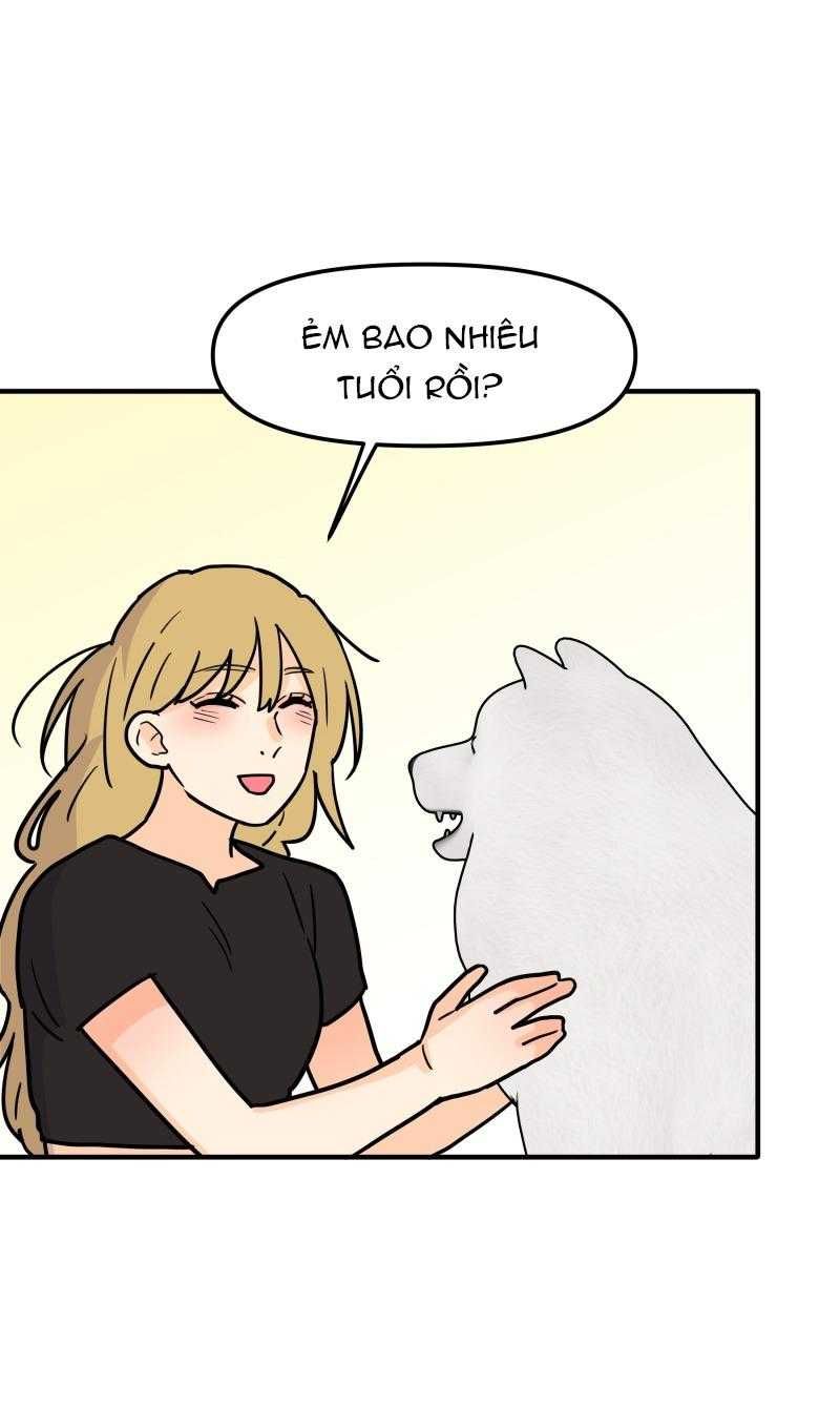page_28