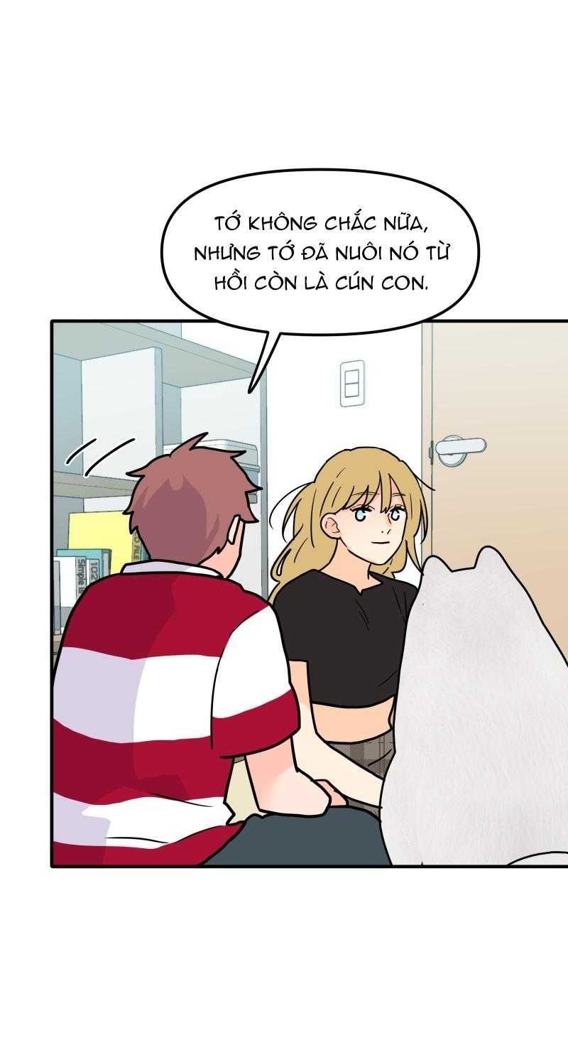 page_29