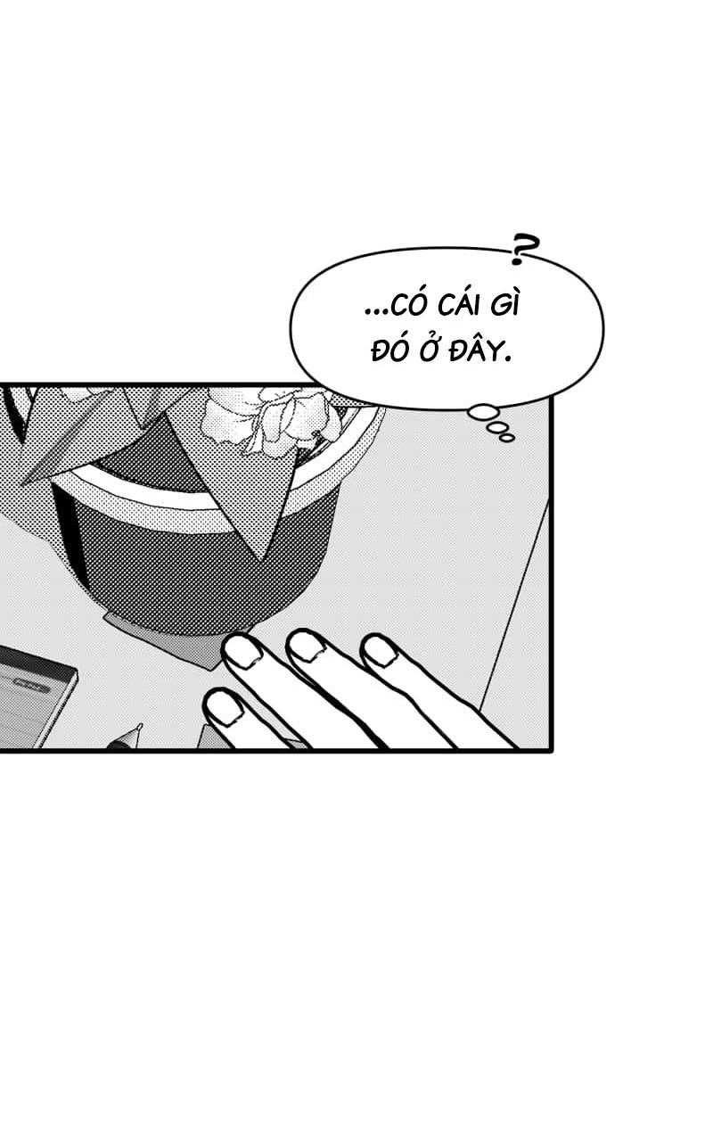 page_56