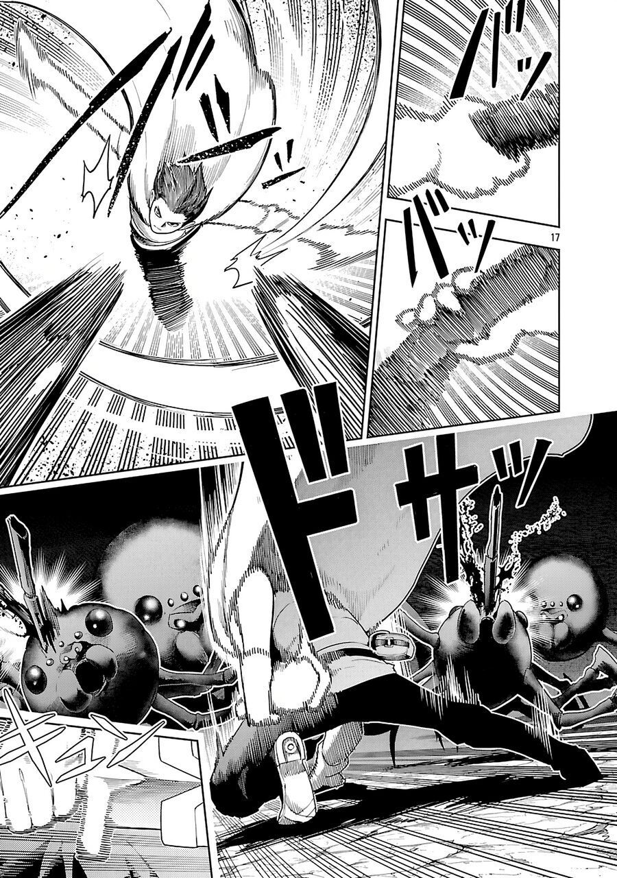 page_17