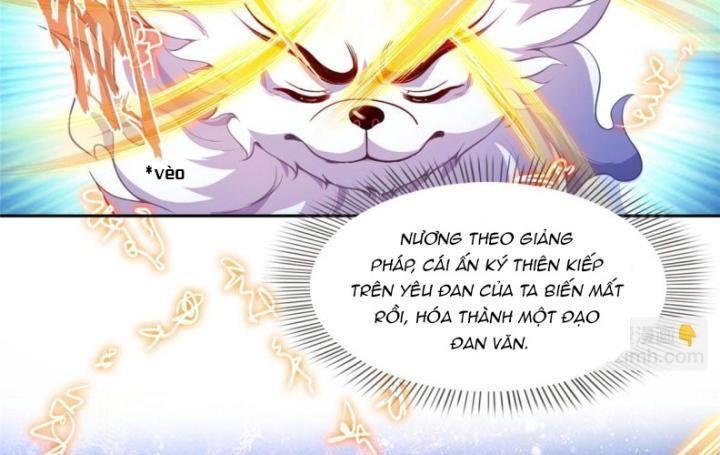 page_36