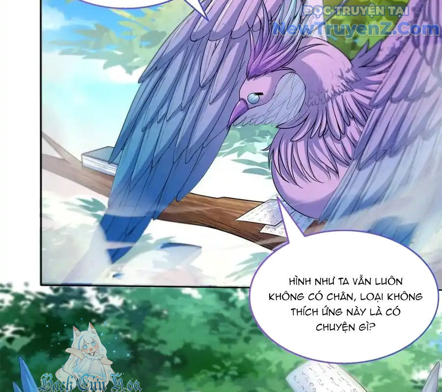 page_17