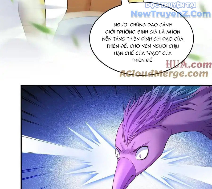 page_51