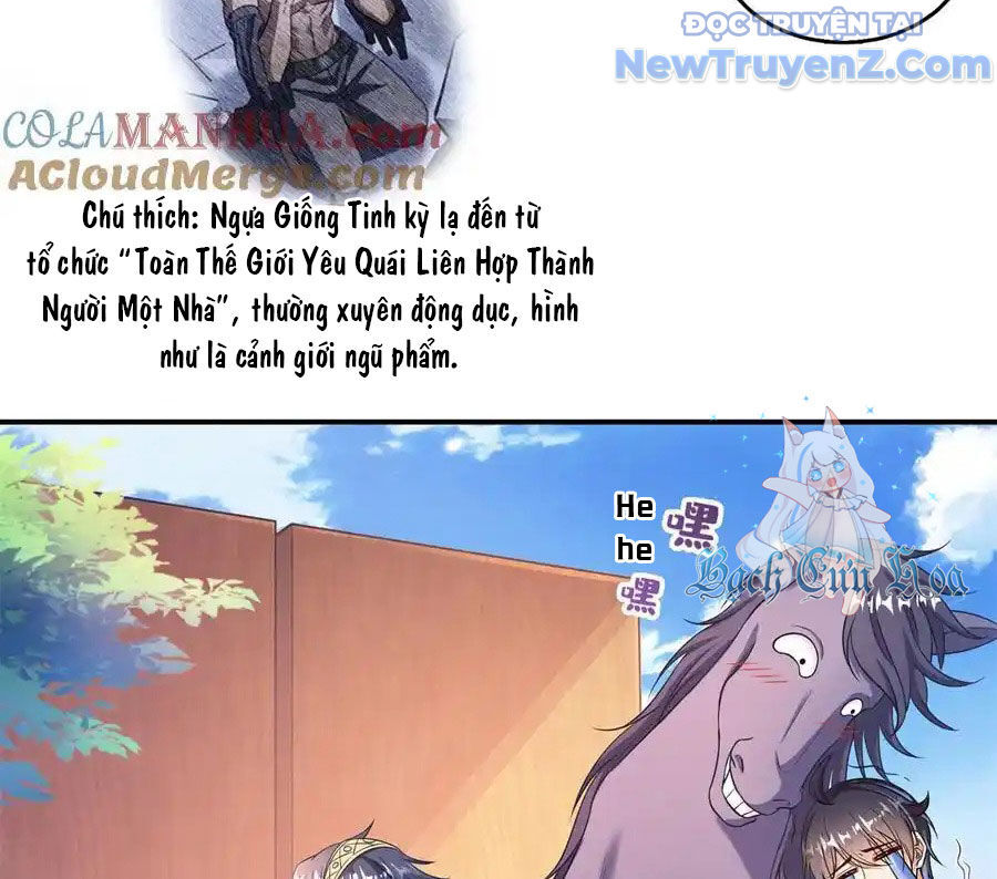 page_51