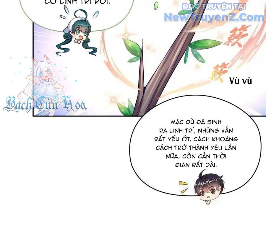 page_65