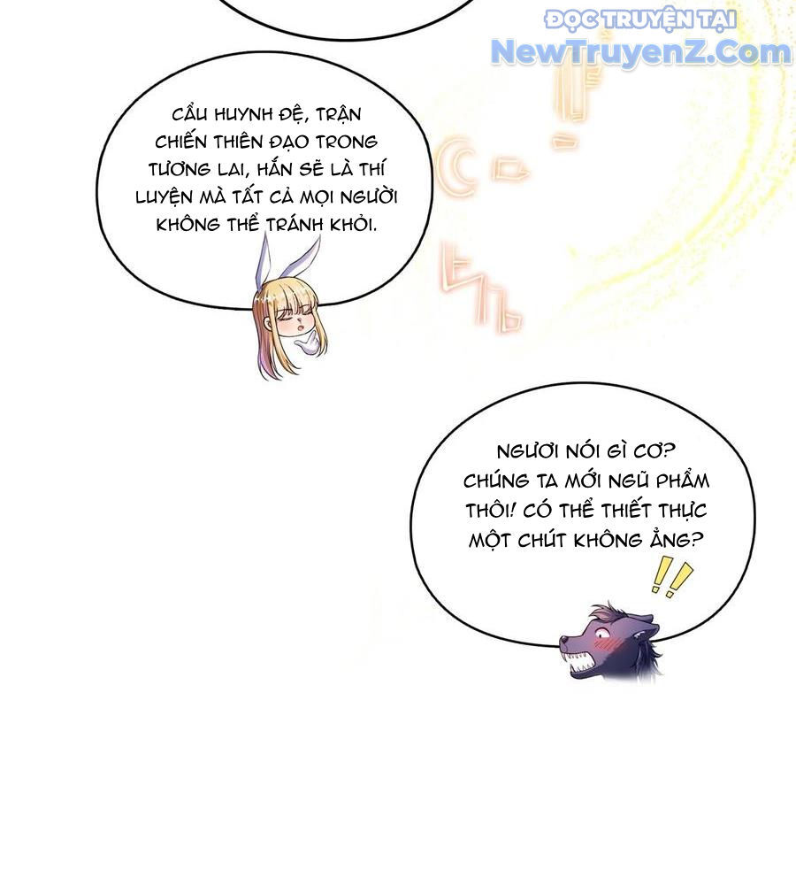 page_13