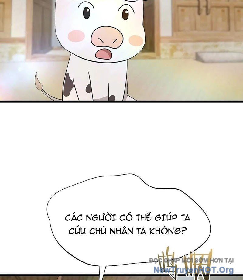 page_31
