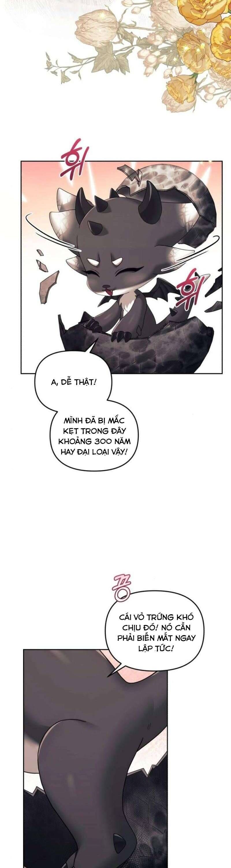 page_31
