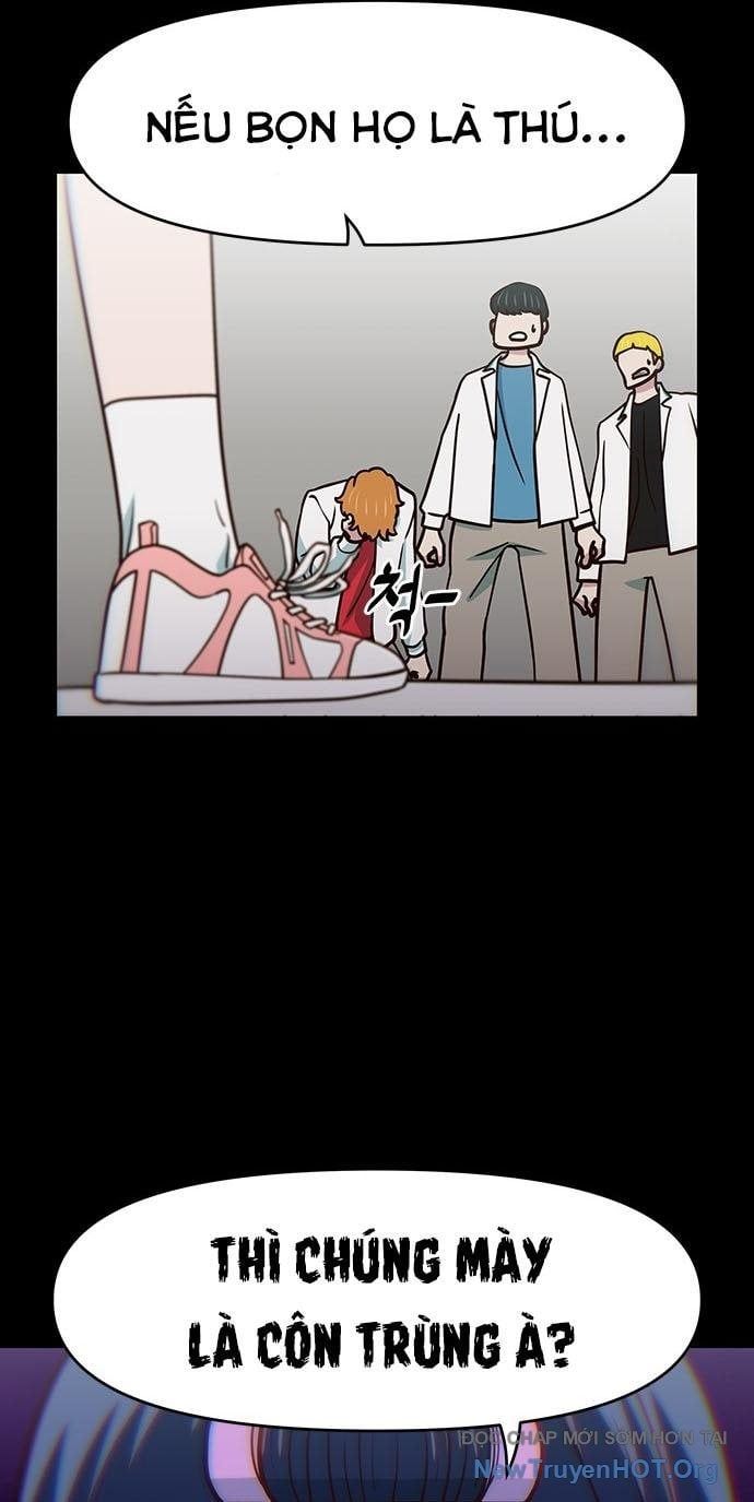page_52